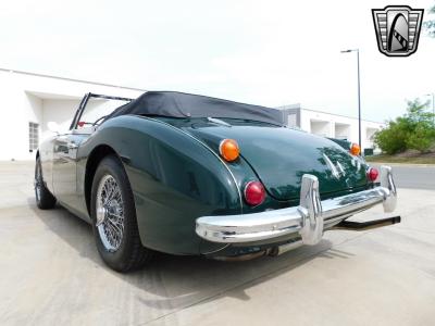 1966 Austin - Healey 3000