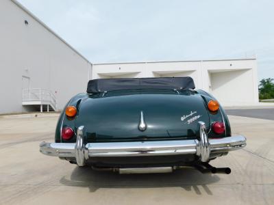 1966 Austin - Healey 3000