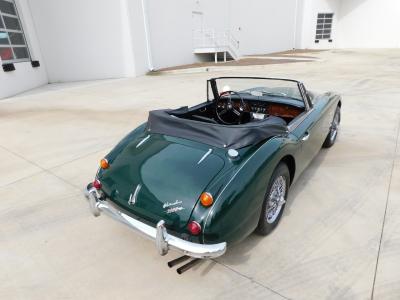 1966 Austin - Healey 3000