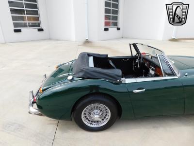 1966 Austin - Healey 3000