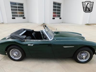 1966 Austin - Healey 3000