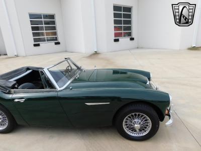 1966 Austin - Healey 3000