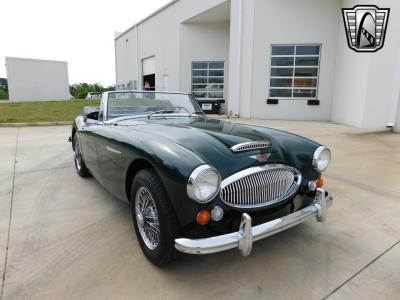 1966 Austin - Healey 3000