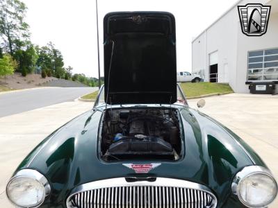 1966 Austin - Healey 3000