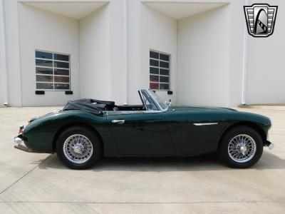 1966 Austin - Healey 3000