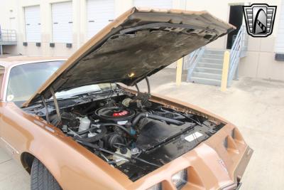 1979 Pontiac Firebird