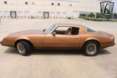 1979 Pontiac Firebird