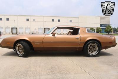 1979 Pontiac Firebird