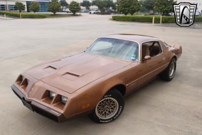 1979 Pontiac Firebird