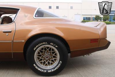 1979 Pontiac Firebird