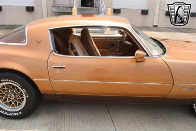 1979 Pontiac Firebird