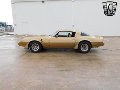 1979 Pontiac Firebird