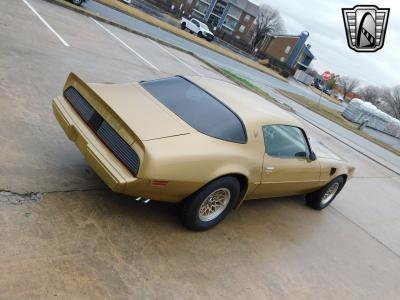 1979 Pontiac Firebird