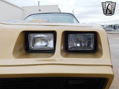 1979 Pontiac Firebird