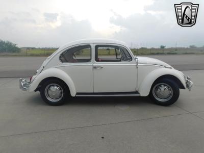 1966 Volkswagen Beetle