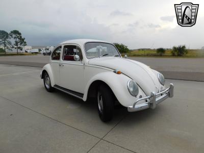 1966 Volkswagen Beetle