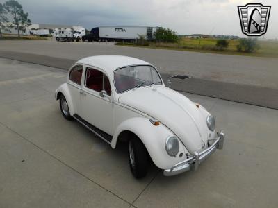 1966 Volkswagen Beetle