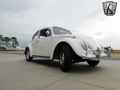 1966 Volkswagen Beetle