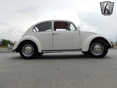 1966 Volkswagen Beetle