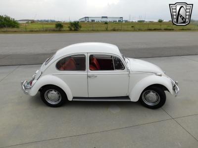 1966 Volkswagen Beetle