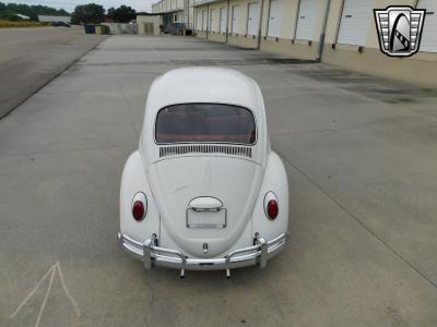 1966 Volkswagen Beetle