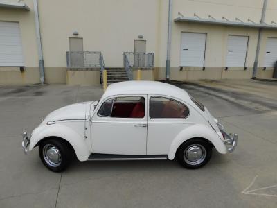 1966 Volkswagen Beetle