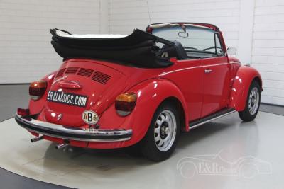 1972 Volkswagen Beetle