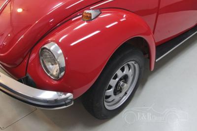 1972 Volkswagen Beetle