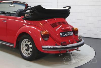 1972 Volkswagen Beetle