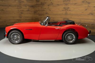 1966 Austin - Healey 3000 MKIII