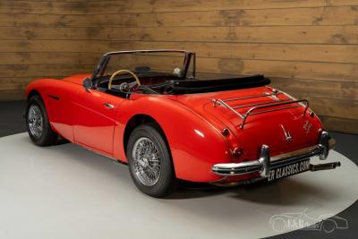 1966 Austin - Healey 3000 MKIII