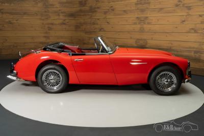 1966 Austin - Healey 3000 MKIII