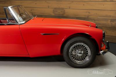 1966 Austin - Healey 3000 MKIII