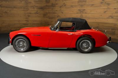 1966 Austin - Healey 3000 MKIII