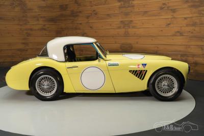 1959 Austin - Healey 3000 MKI