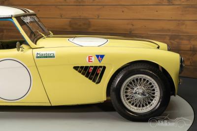 1959 Austin - Healey 3000 MKI