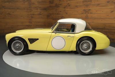 1959 Austin - Healey 3000 MKI