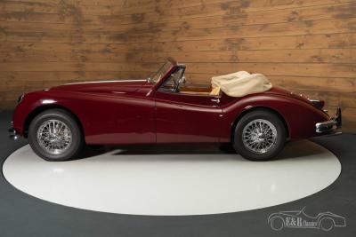 1956 Jaguar XK140