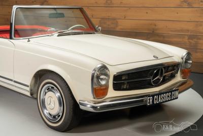 1966 Mercedes - Benz 230SL