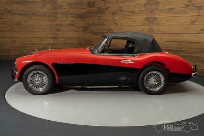 1965 Austin - Healey 3000 MKIII