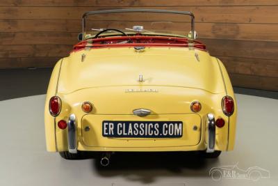 1959 Triumph TR3