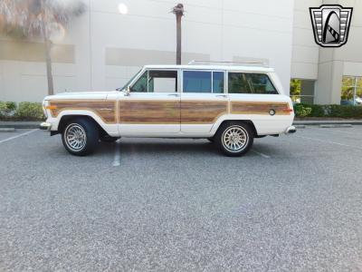 1990 Jeep Grand Wagoneer