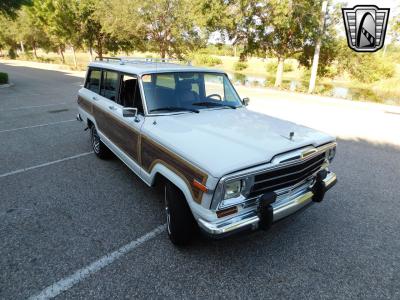 1990 Jeep Grand Wagoneer