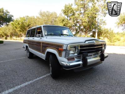 1990 Jeep Grand Wagoneer