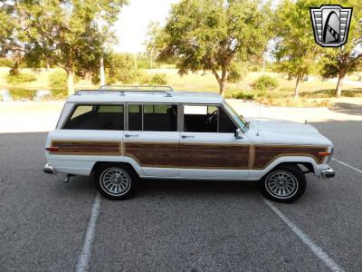 1990 Jeep Grand Wagoneer