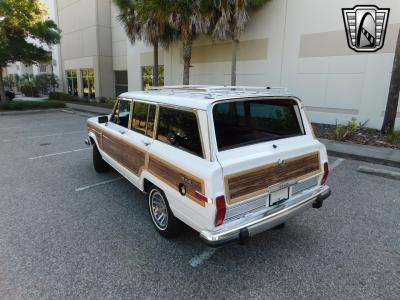 1990 Jeep Grand Wagoneer