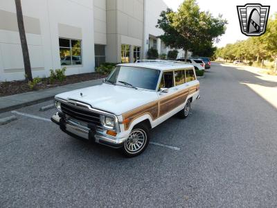 1990 Jeep Grand Wagoneer