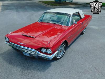 1964 Ford Thunderbird