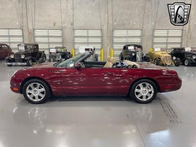 2004 Ford Thunderbird