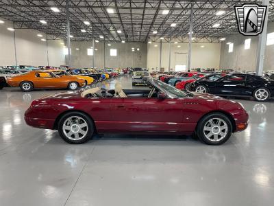 2004 Ford Thunderbird